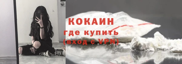 твердый Аркадак