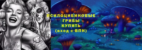 spice Арсеньев
