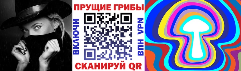 Псилоцибиновые грибы Psilocybe  где купить наркотик  Полысаево 